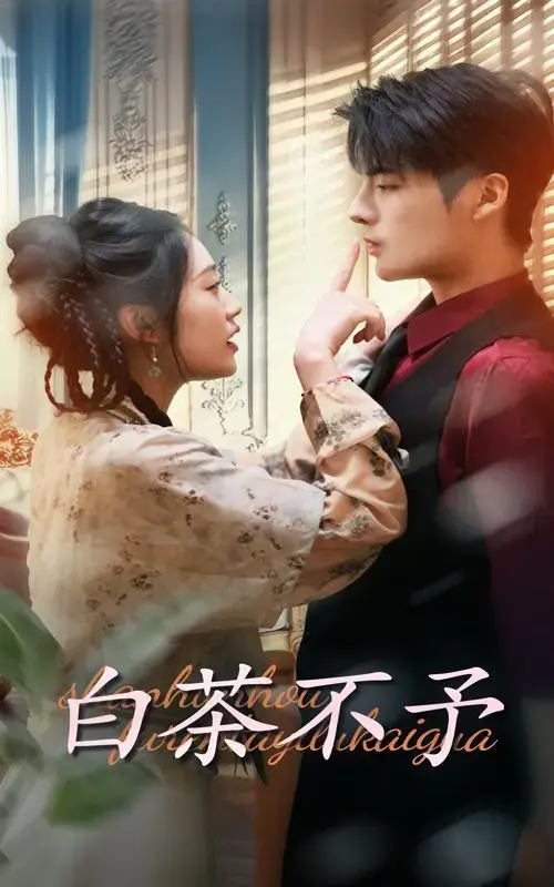 白茶不予 海报