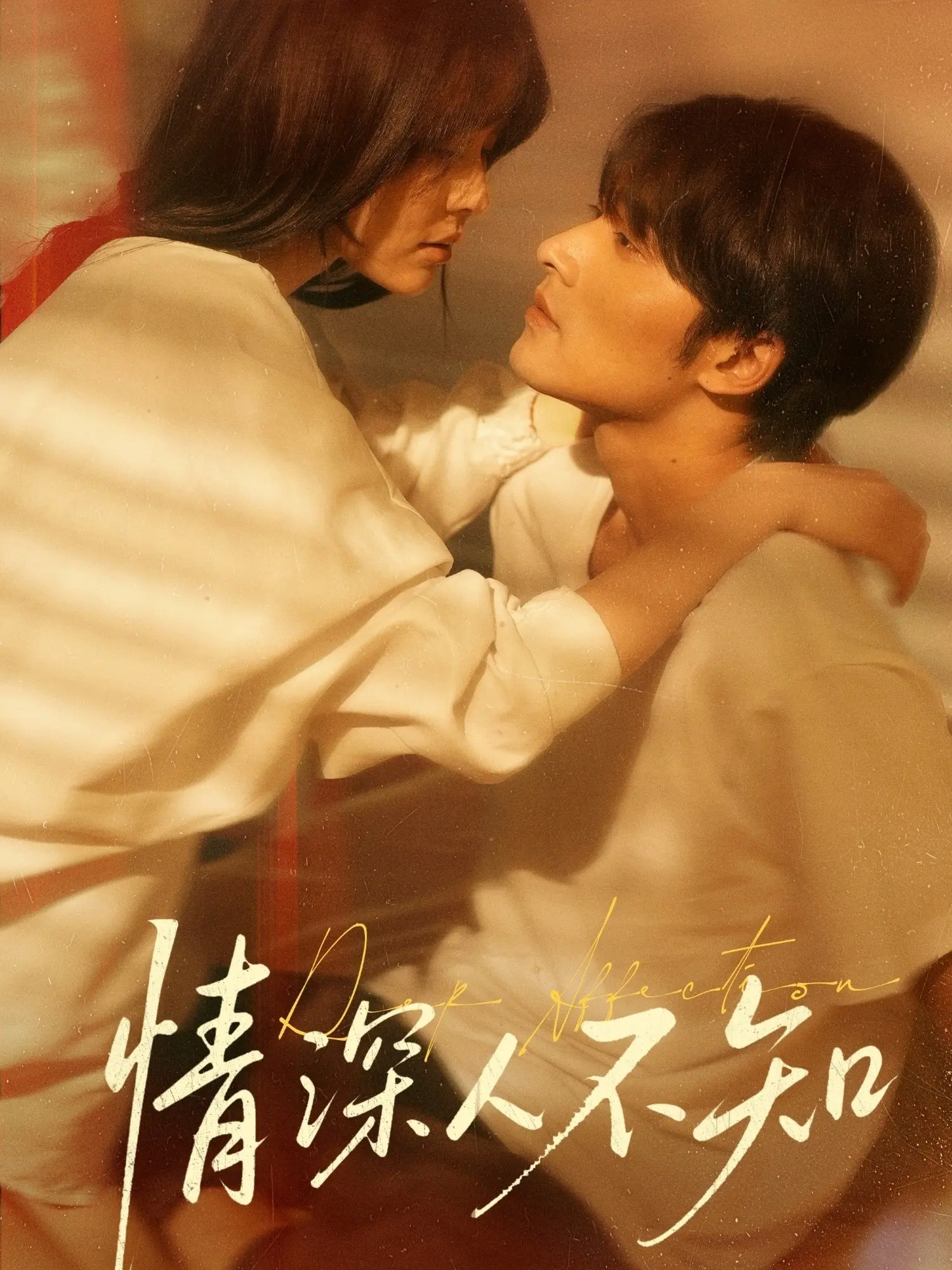 情深人不知 海报