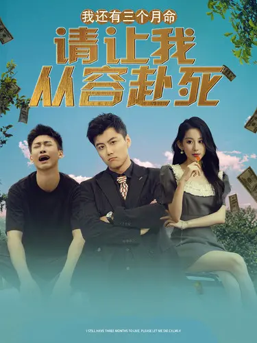 倒计时人生：《我还有三个月命，请让我从容赴死》的深刻救赎