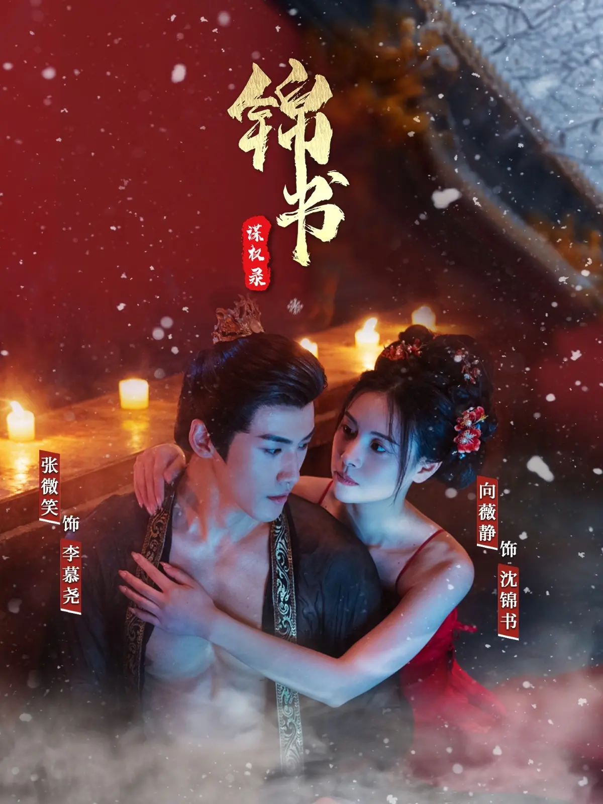 《锦书谋权录》：智女逆袭，权谋深渊中的绝美绽放