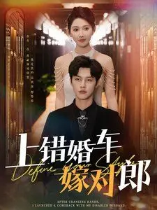 《上错婚车嫁对郎》：爆笑乌龙成就真爱？深度解析这场错位姻缘！