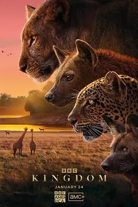 《动物王国2025》：末日求生？还是物种进化？一场关于生存的终极考验！