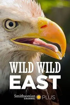 《狂野东部》：禁忌边缘的青春叛逆，一场燃烧生命的爱与痛